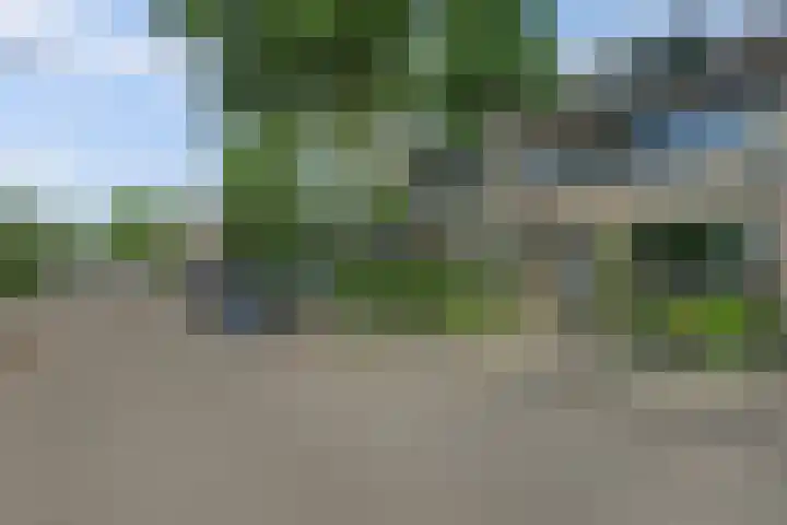 Rietgansstraat 55 Ermelo thumbnail 33