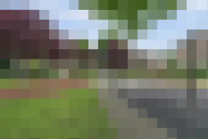 Rietgansstraat 55 Ermelo thumbnail 36