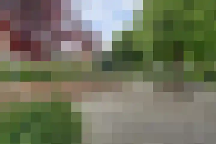 Rietgansstraat 55 Ermelo thumbnail 37
