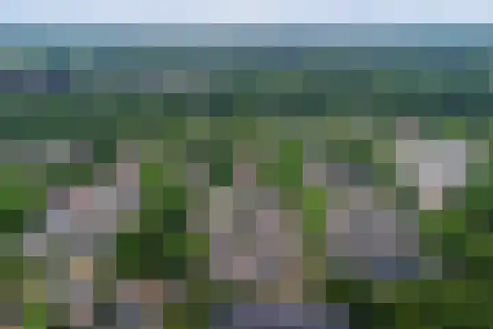 Rietgansstraat 55 Ermelo thumbnail 39
