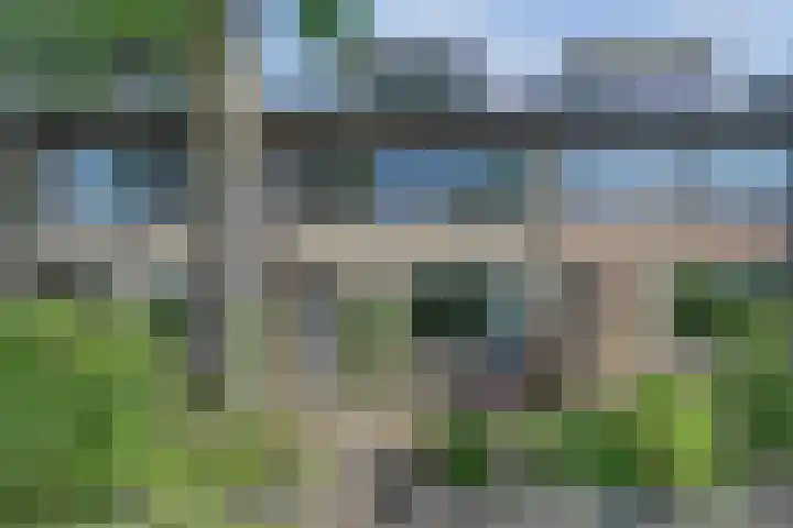 Rietgansstraat 55 Ermelo thumbnail 52