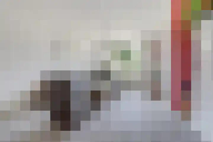 Rietgansstraat 55 Ermelo thumbnail 8