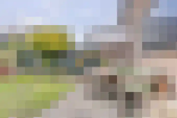 Rietgansstraat 59 Ermelo thumbnail 34