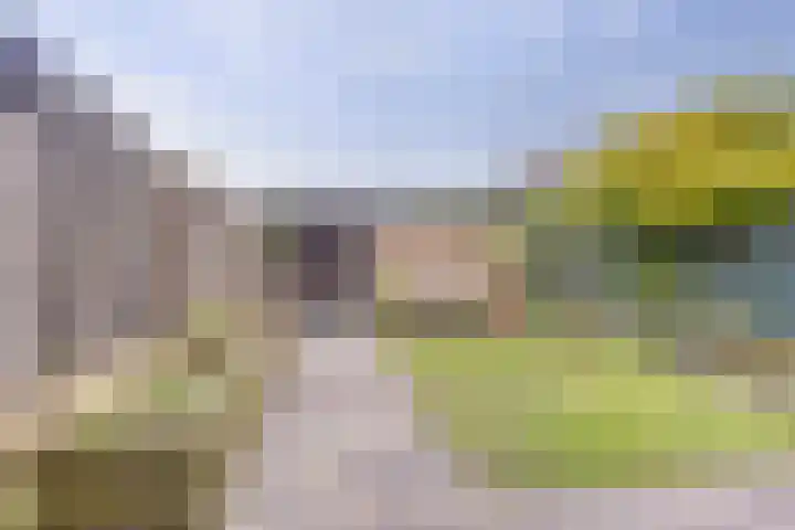 Rietgansstraat 59 Ermelo thumbnail 35