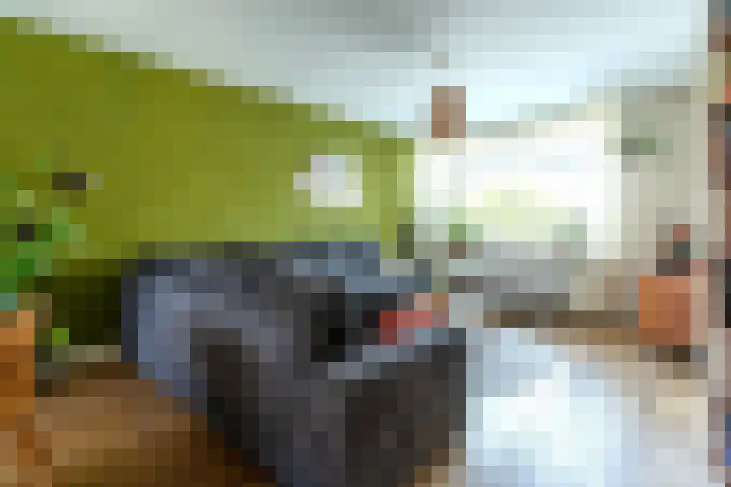 Rietgansstraat 61 Ermelo thumbnail 10