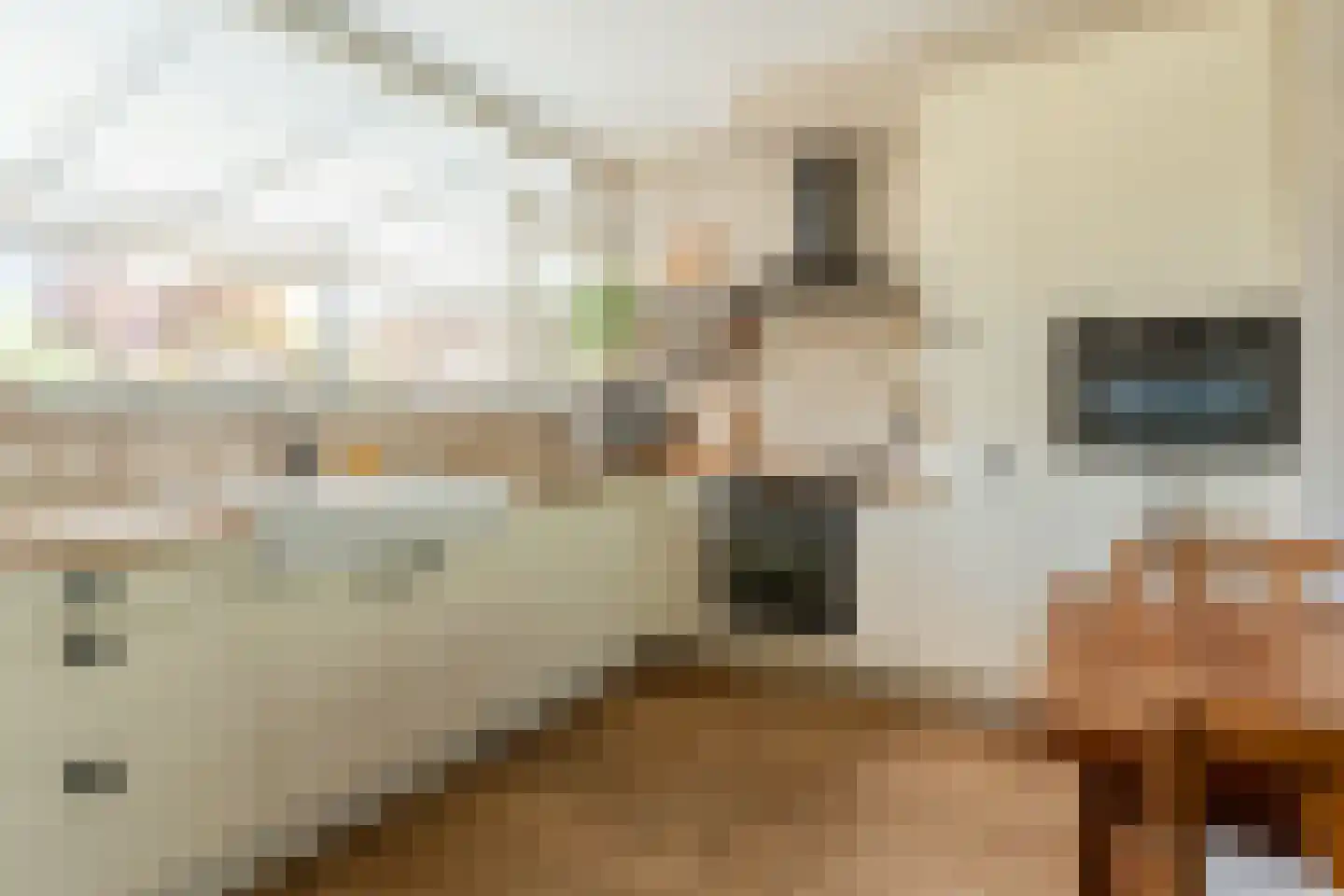 Rietgansstraat 61 Ermelo thumbnail 13