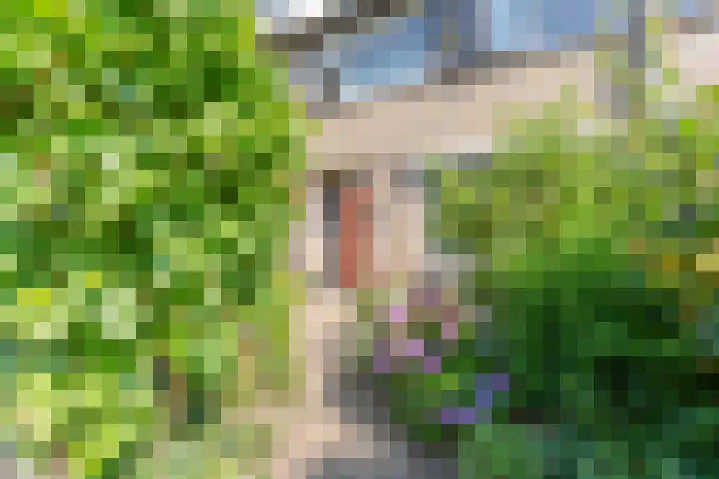 Rietgansstraat 61 Ermelo thumbnail 4