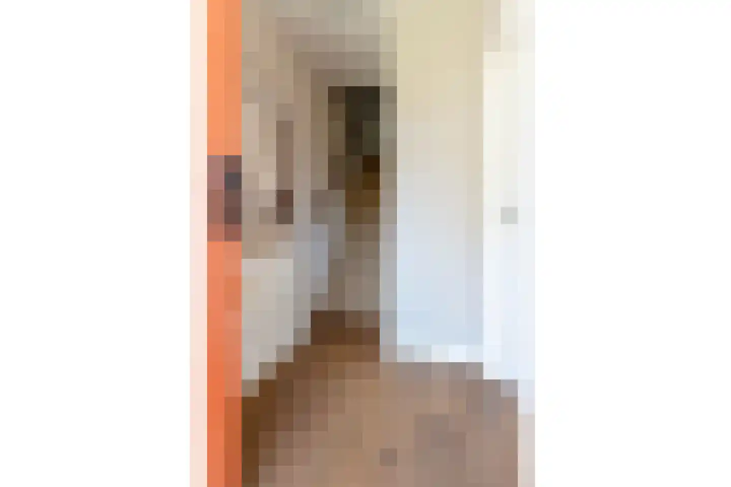 Rietgansstraat 61 Ermelo thumbnail 7