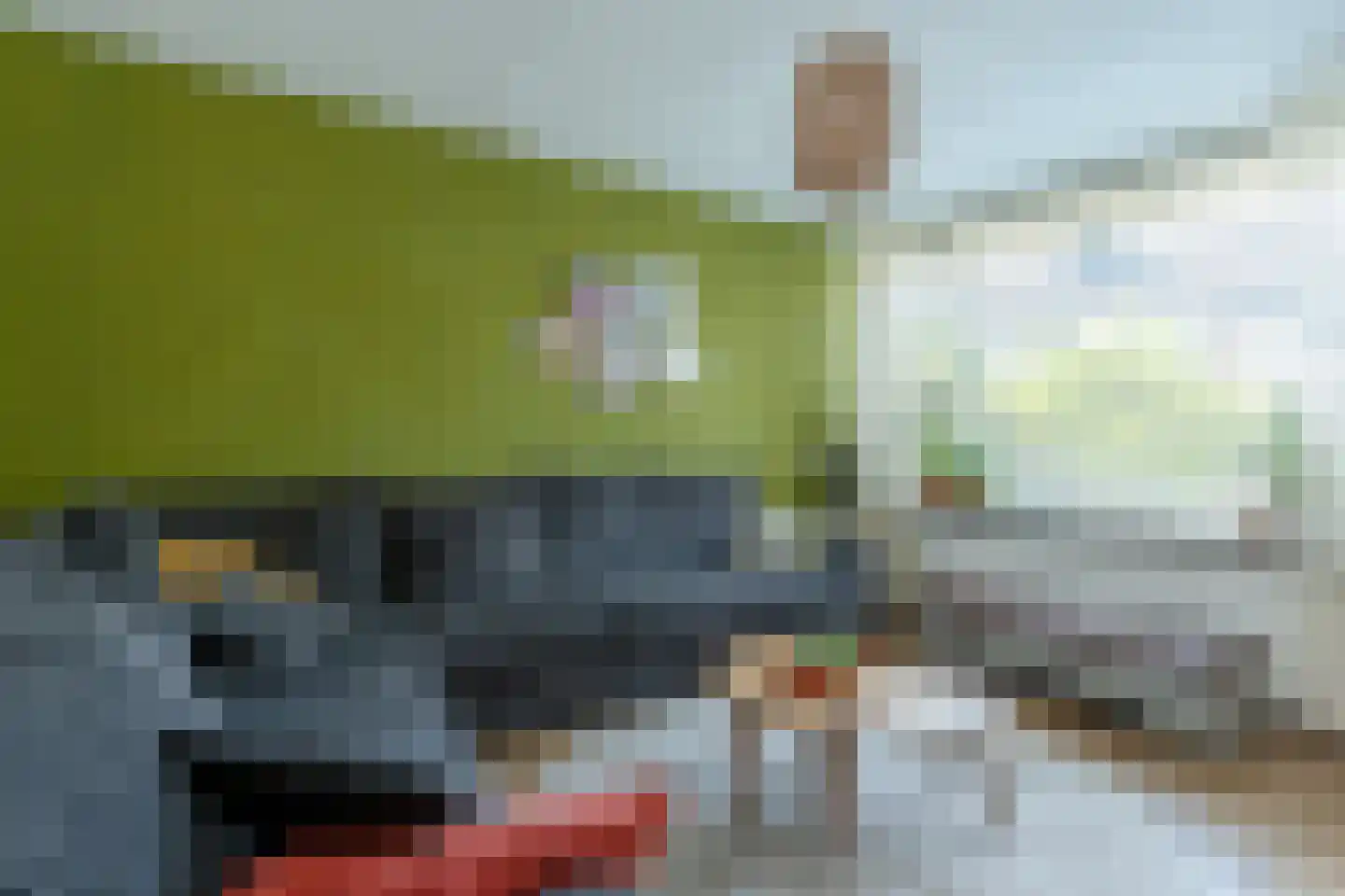 Rietgansstraat 61 Ermelo thumbnail 8