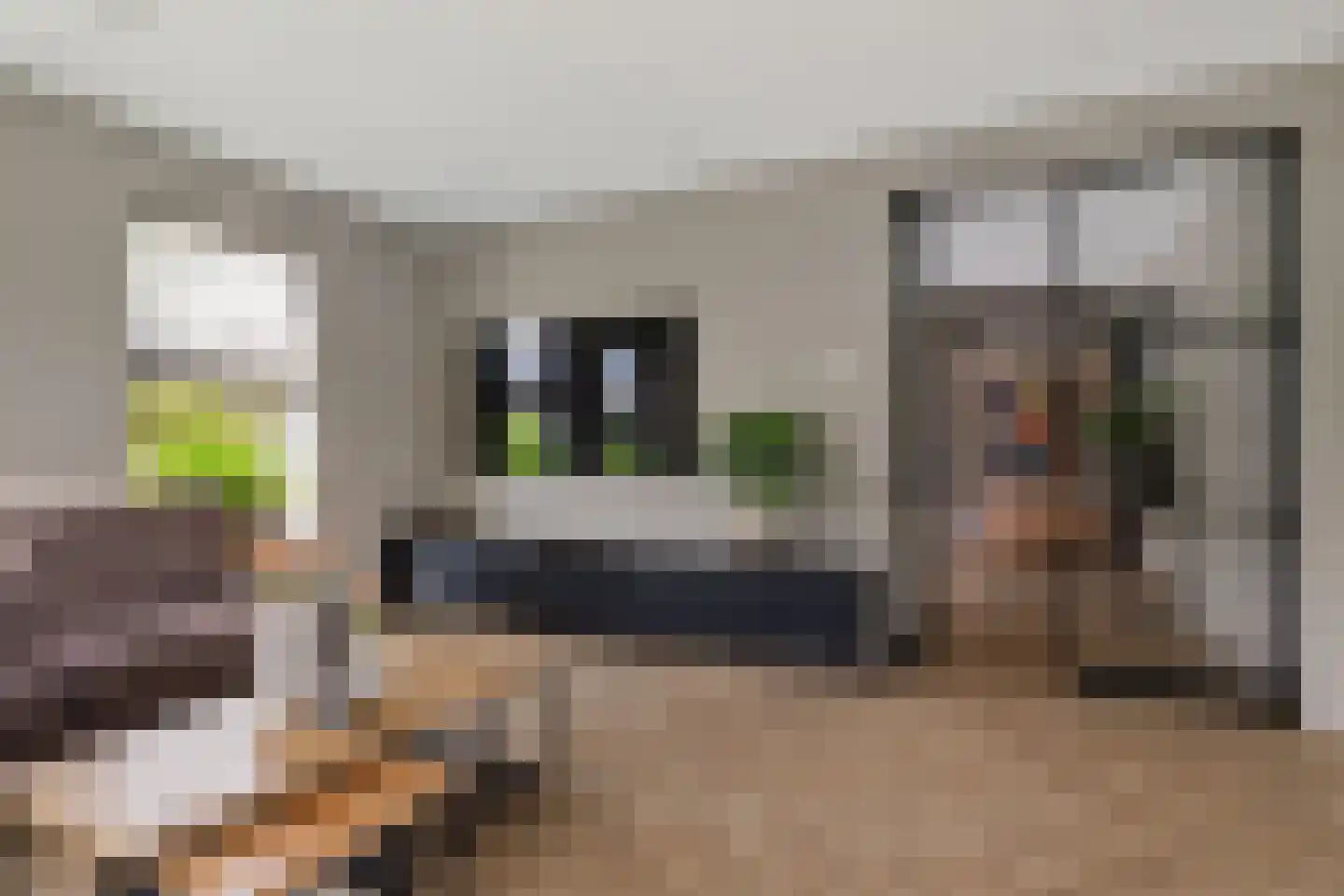 Rietgoornzoom 35 Emmen thumbnail 14