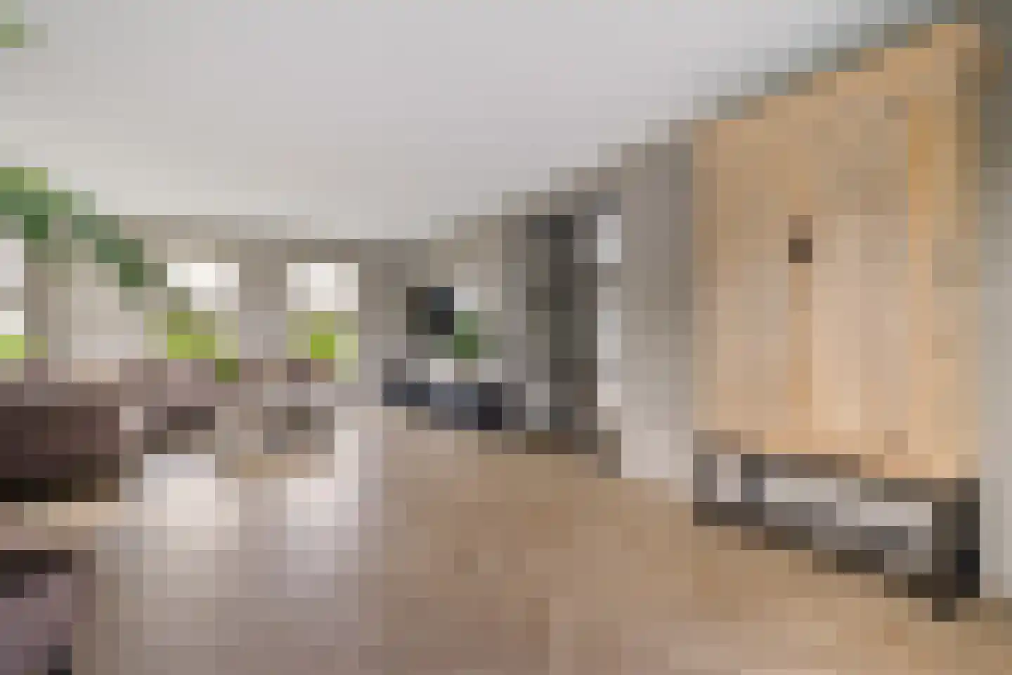 Rietgoornzoom 35 Emmen thumbnail 15