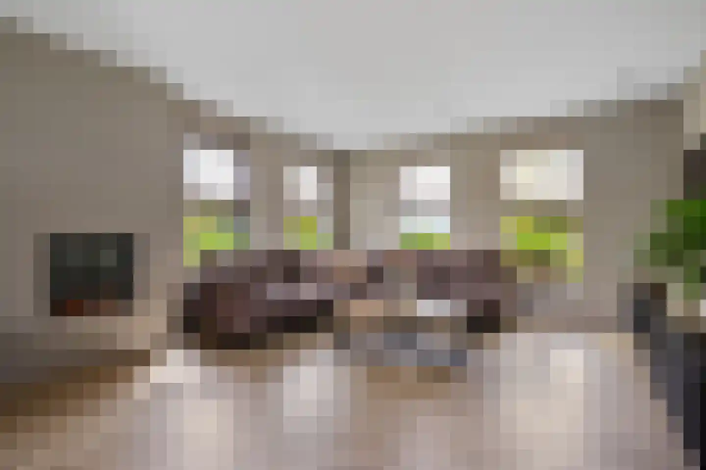Rietgoornzoom 35 Emmen thumbnail 17