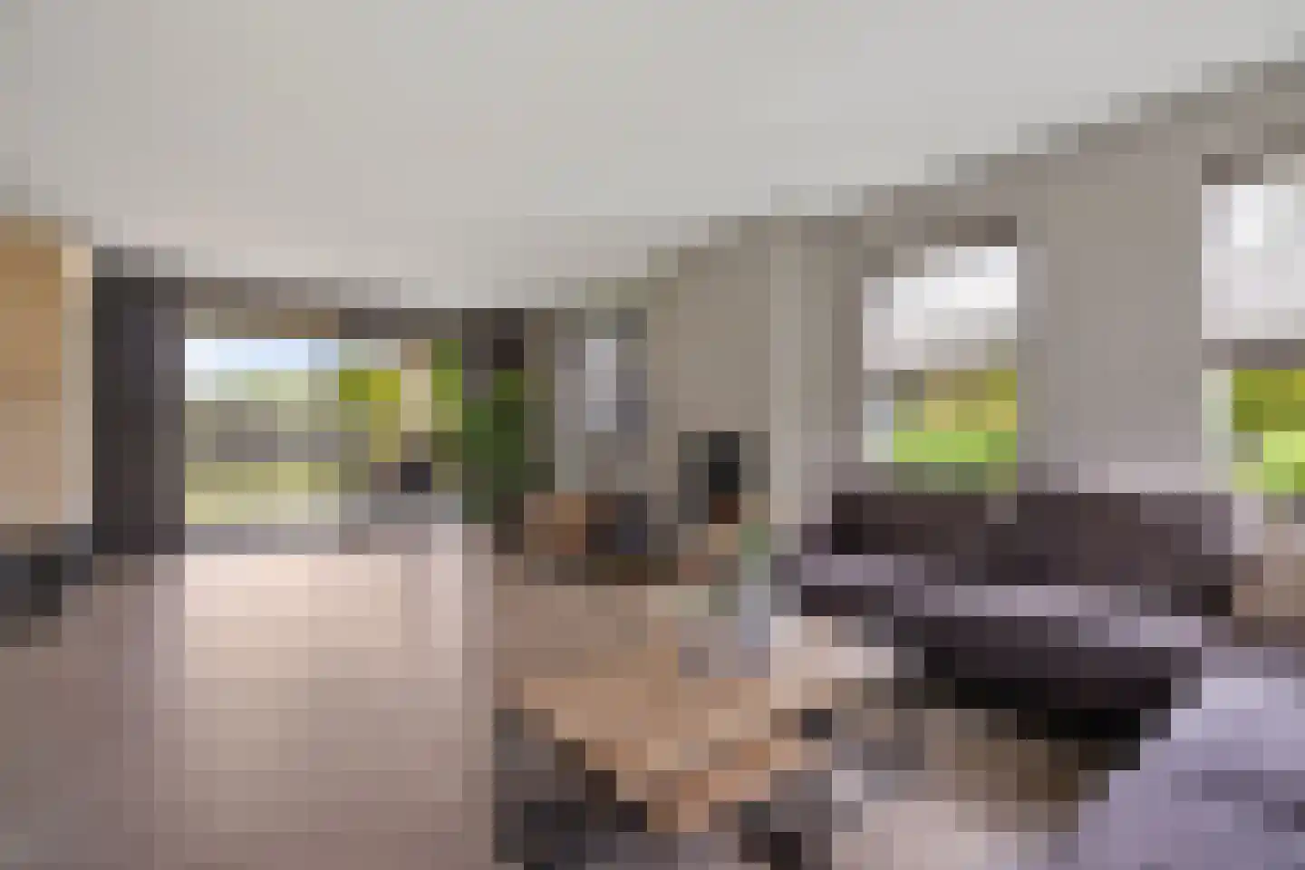 Rietgoornzoom 35 Emmen thumbnail 19