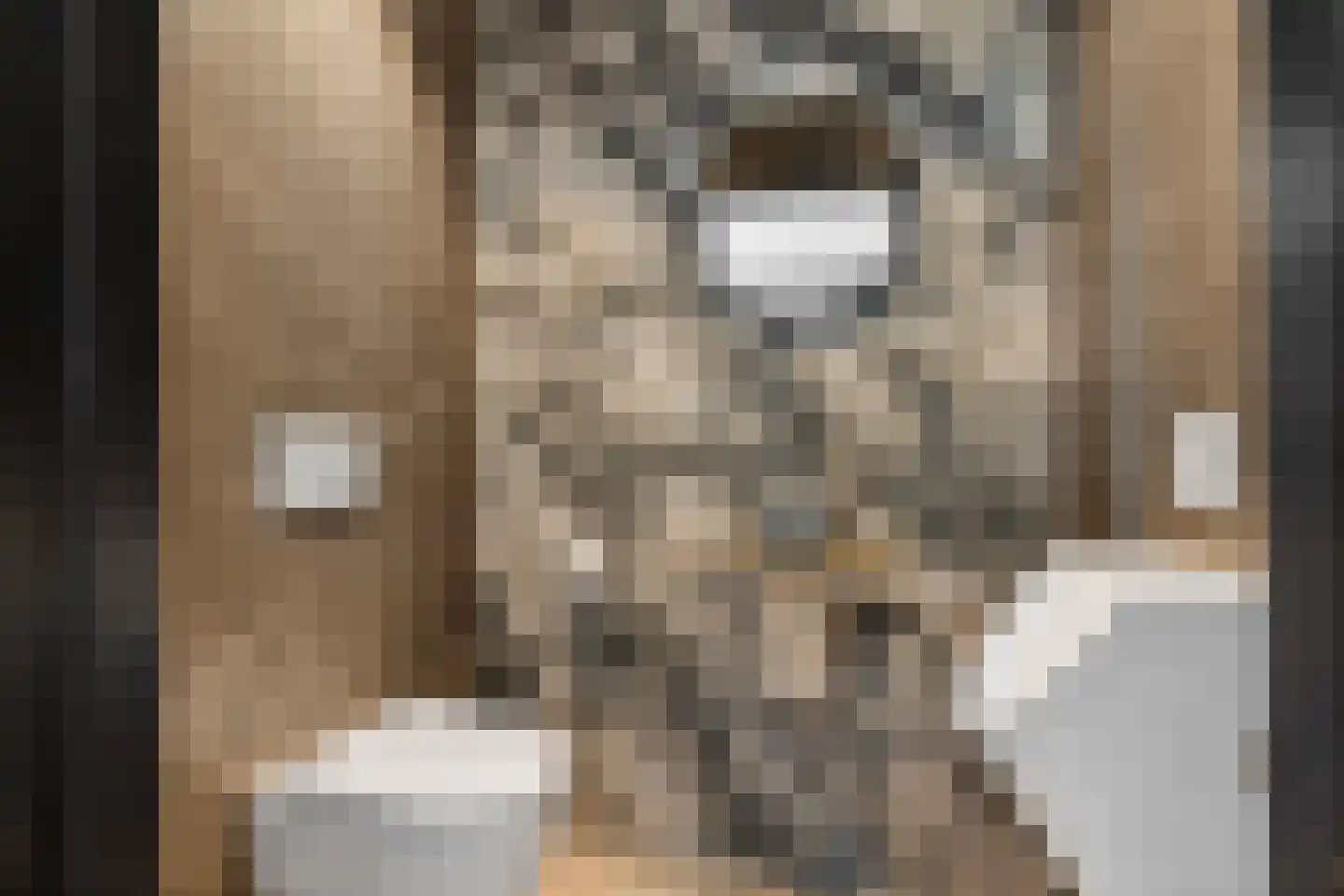Rietgoornzoom 35 Emmen thumbnail 22