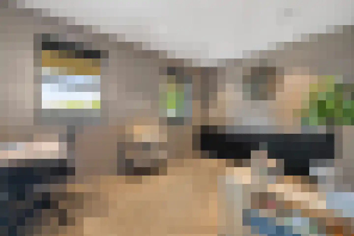 Rietgoornzoom 35 Emmen thumbnail 23