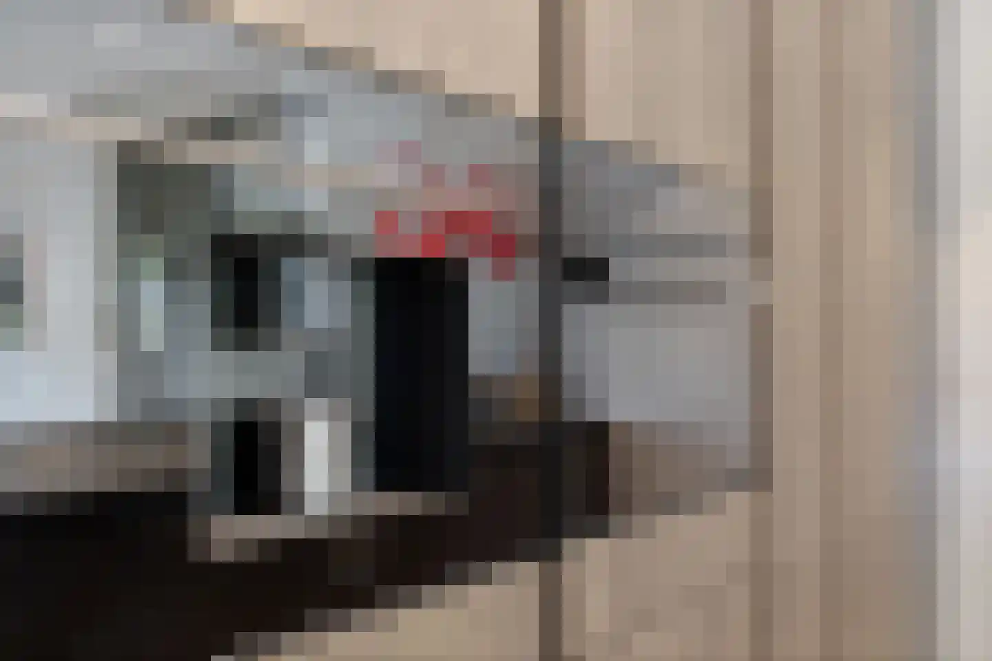 Rietgoornzoom 35 Emmen thumbnail 28