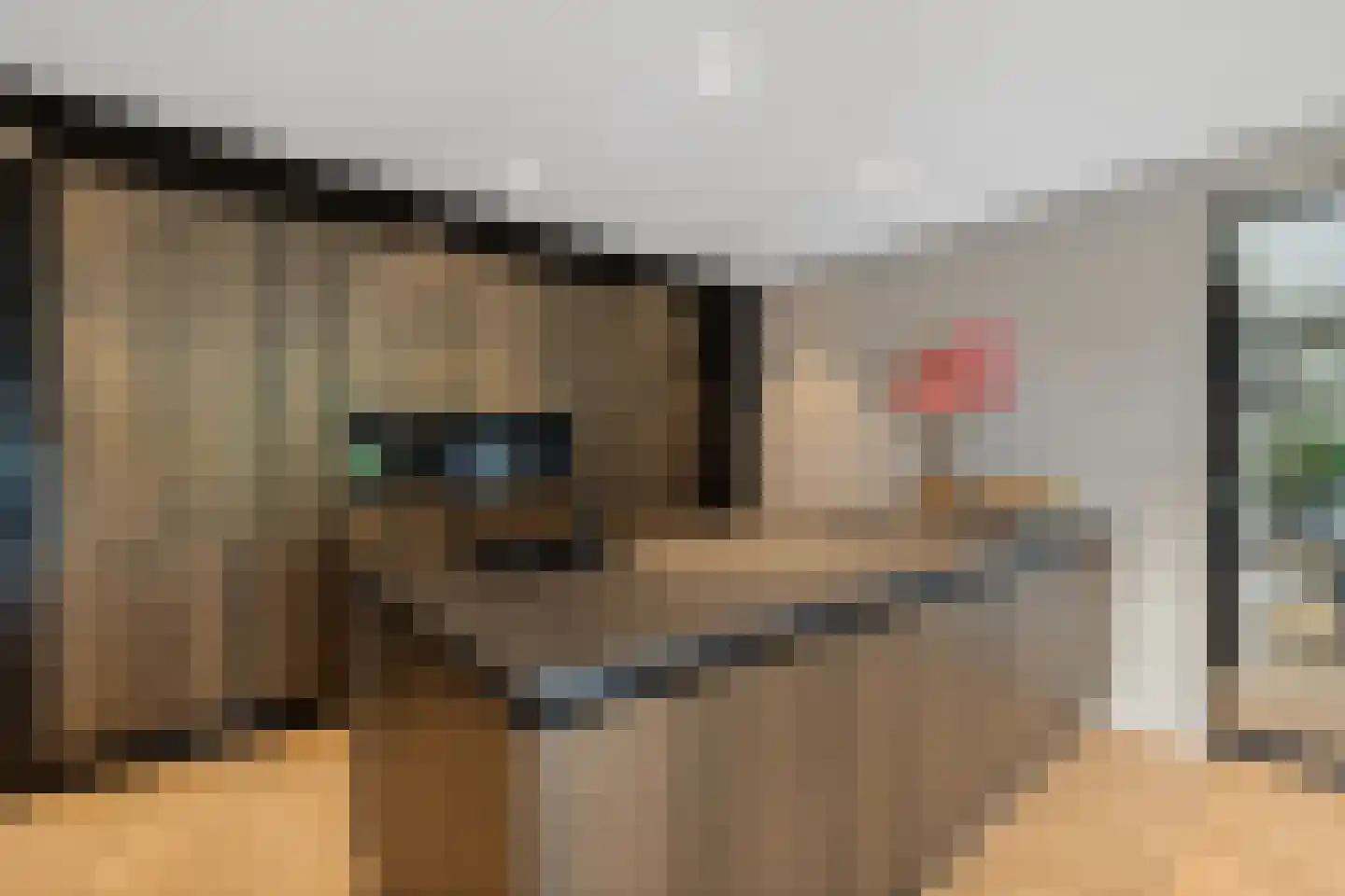 Rietgoornzoom 35 Emmen thumbnail 29
