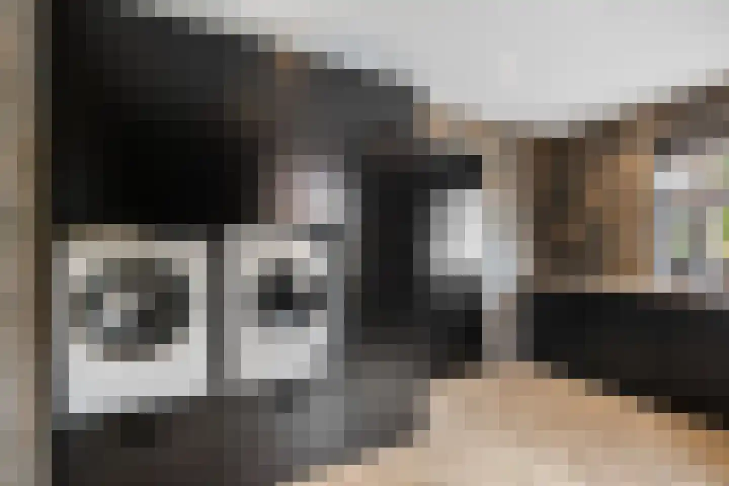 Rietgoornzoom 35 Emmen thumbnail 34