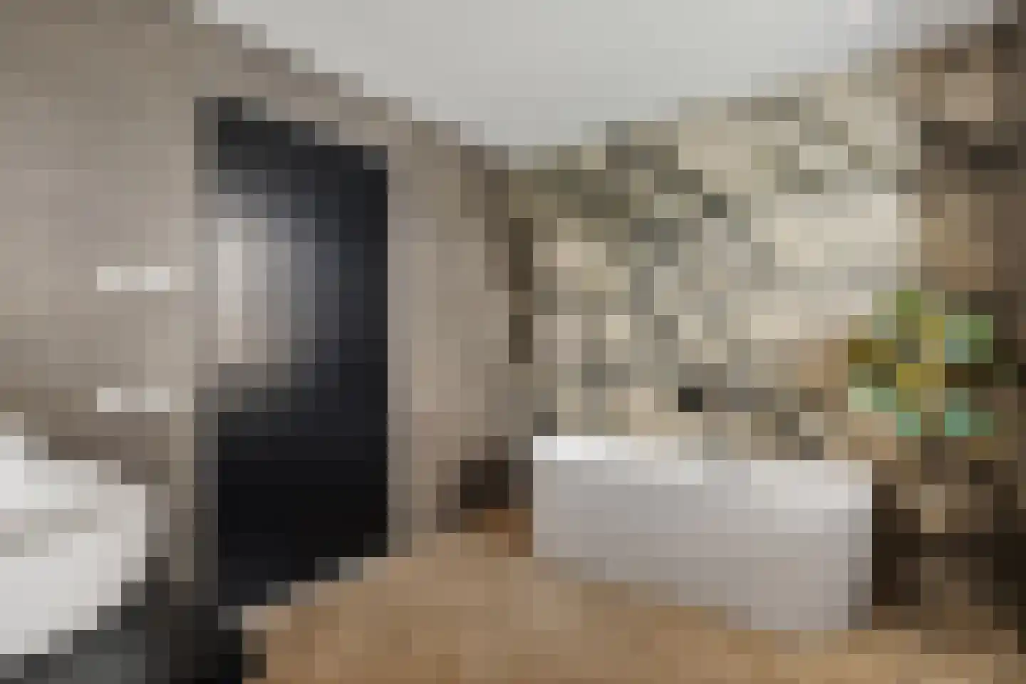 Rietgoornzoom 35 Emmen thumbnail 43