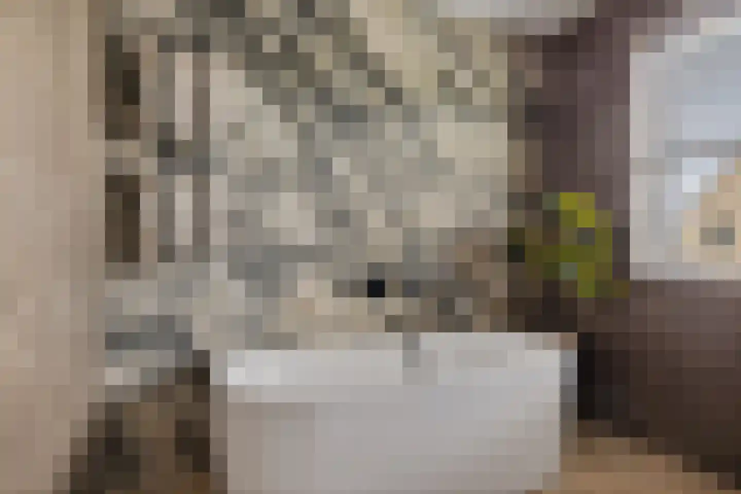 Rietgoornzoom 35 Emmen thumbnail 45