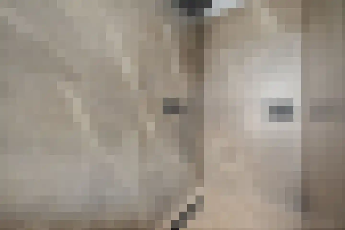 Rietgoornzoom 35 Emmen thumbnail 46