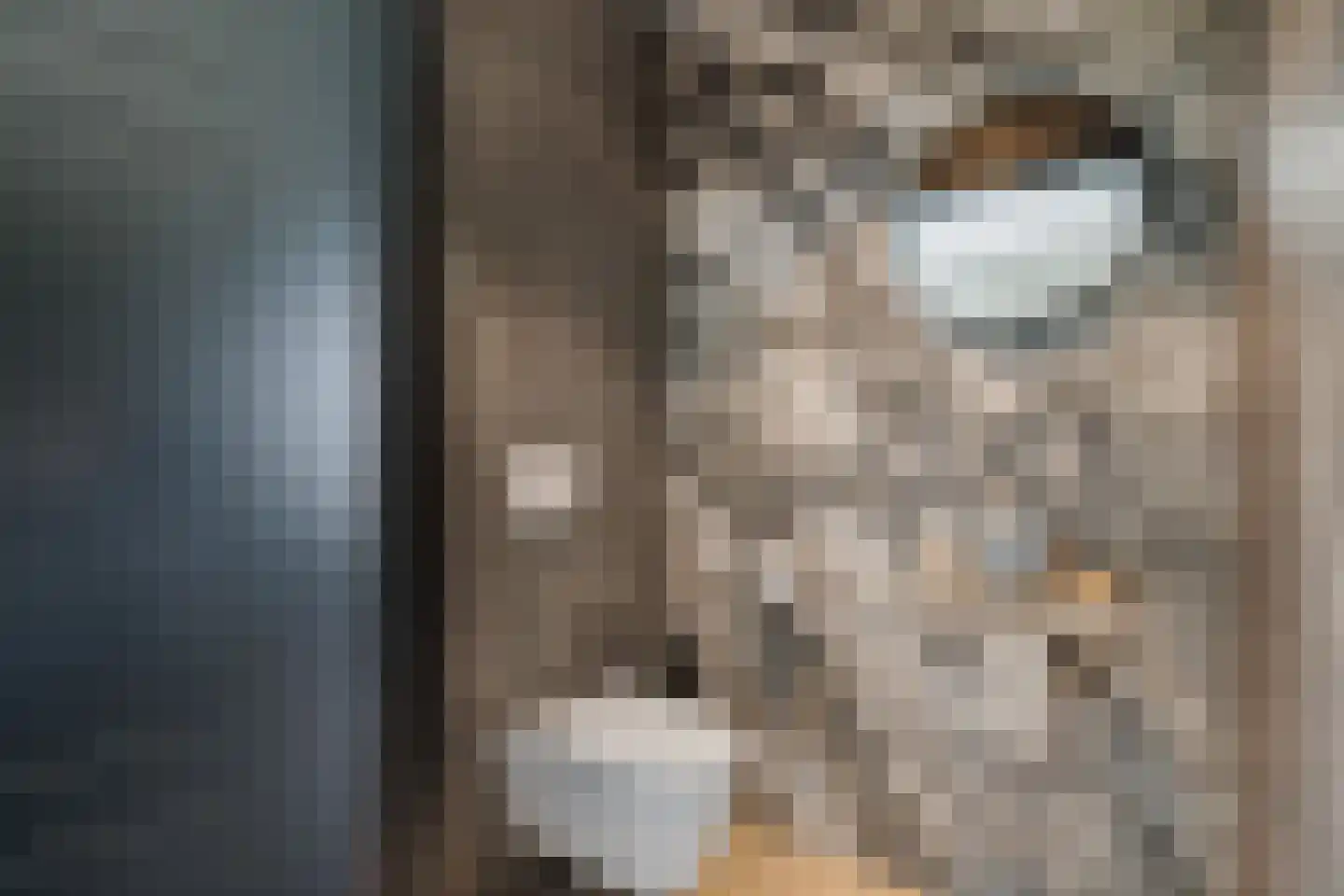 Rietgoornzoom 35 Emmen thumbnail 47