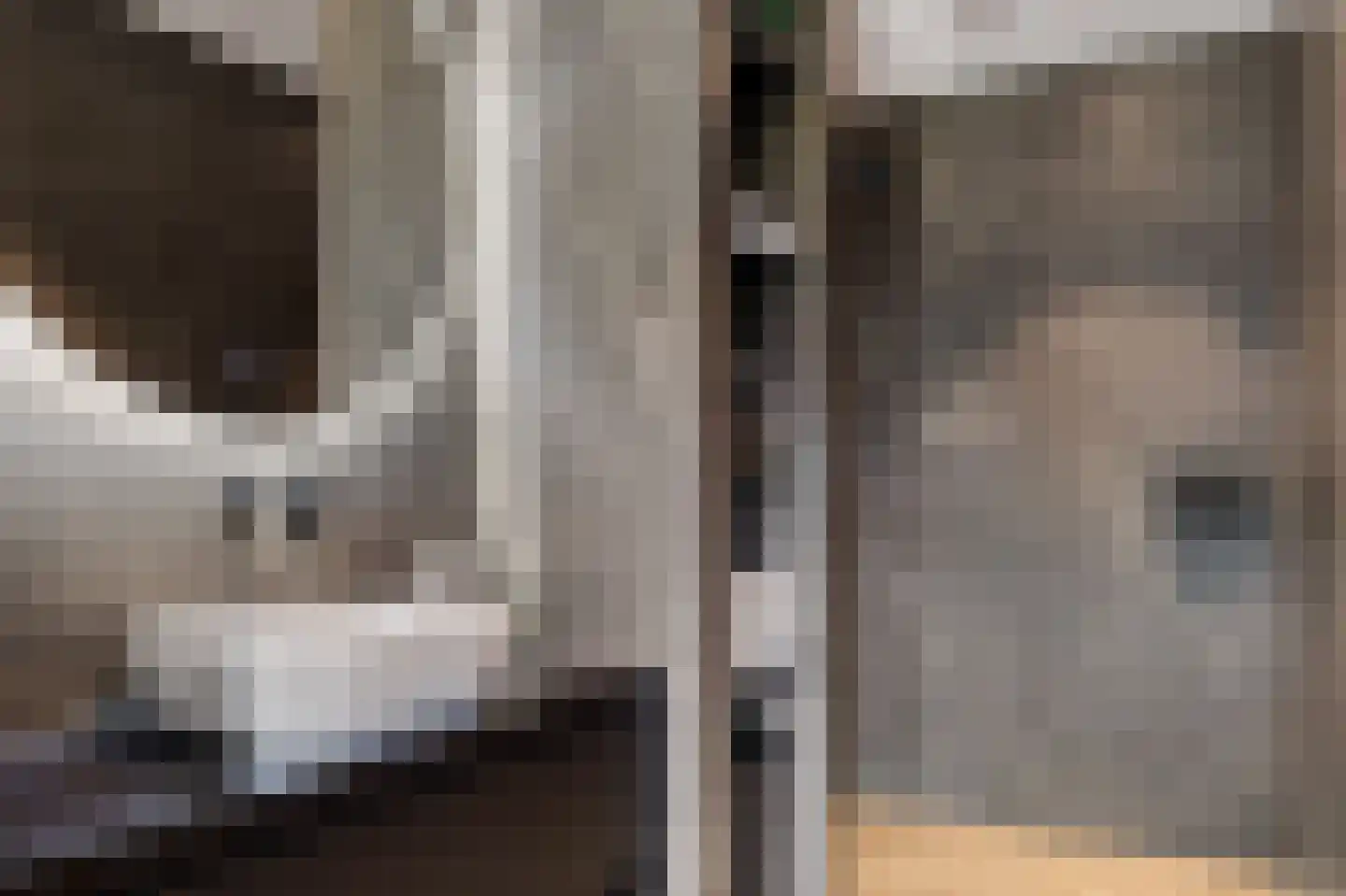 Rietgoornzoom 35 Emmen thumbnail 52