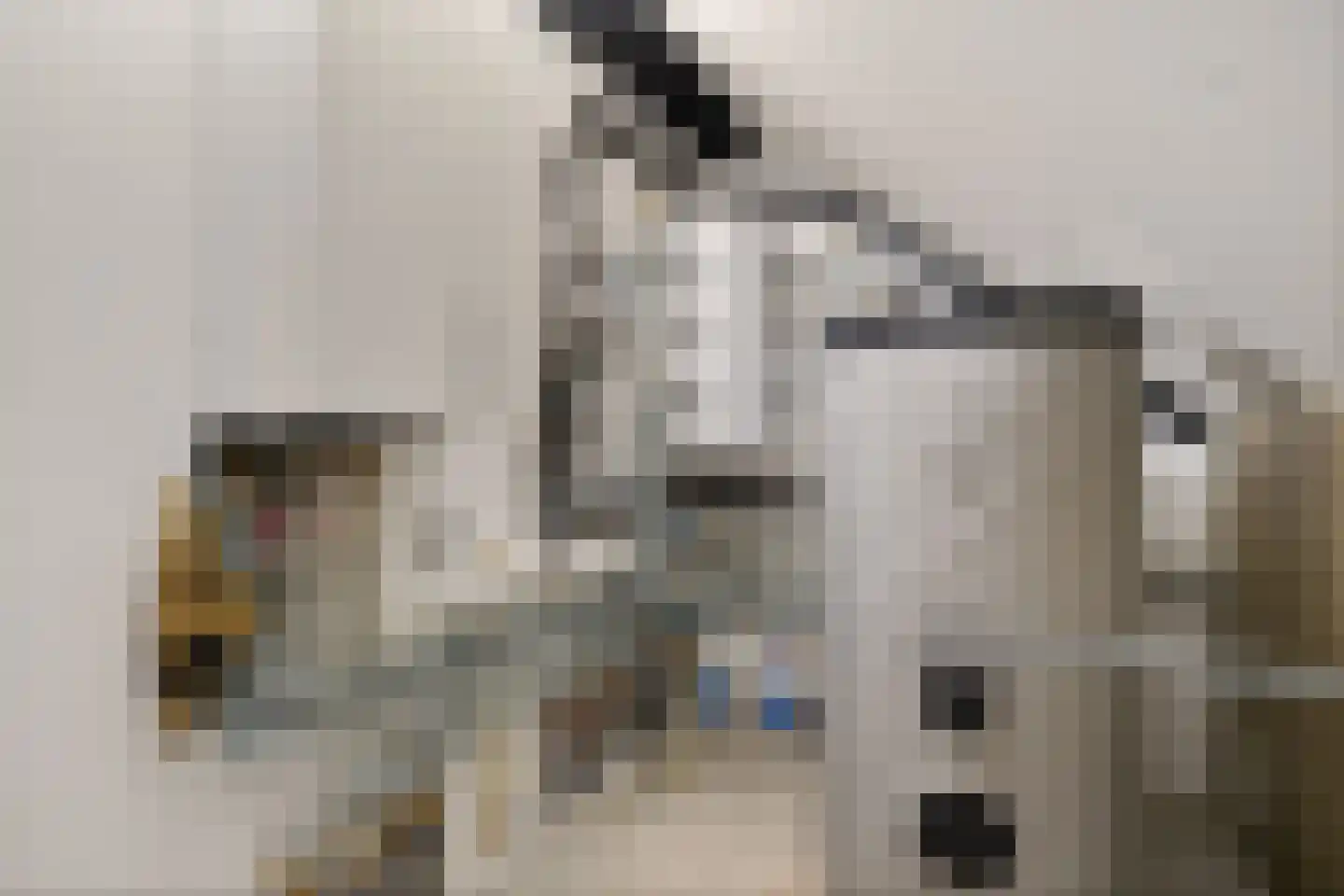 Rietgoornzoom 35 Emmen thumbnail 60