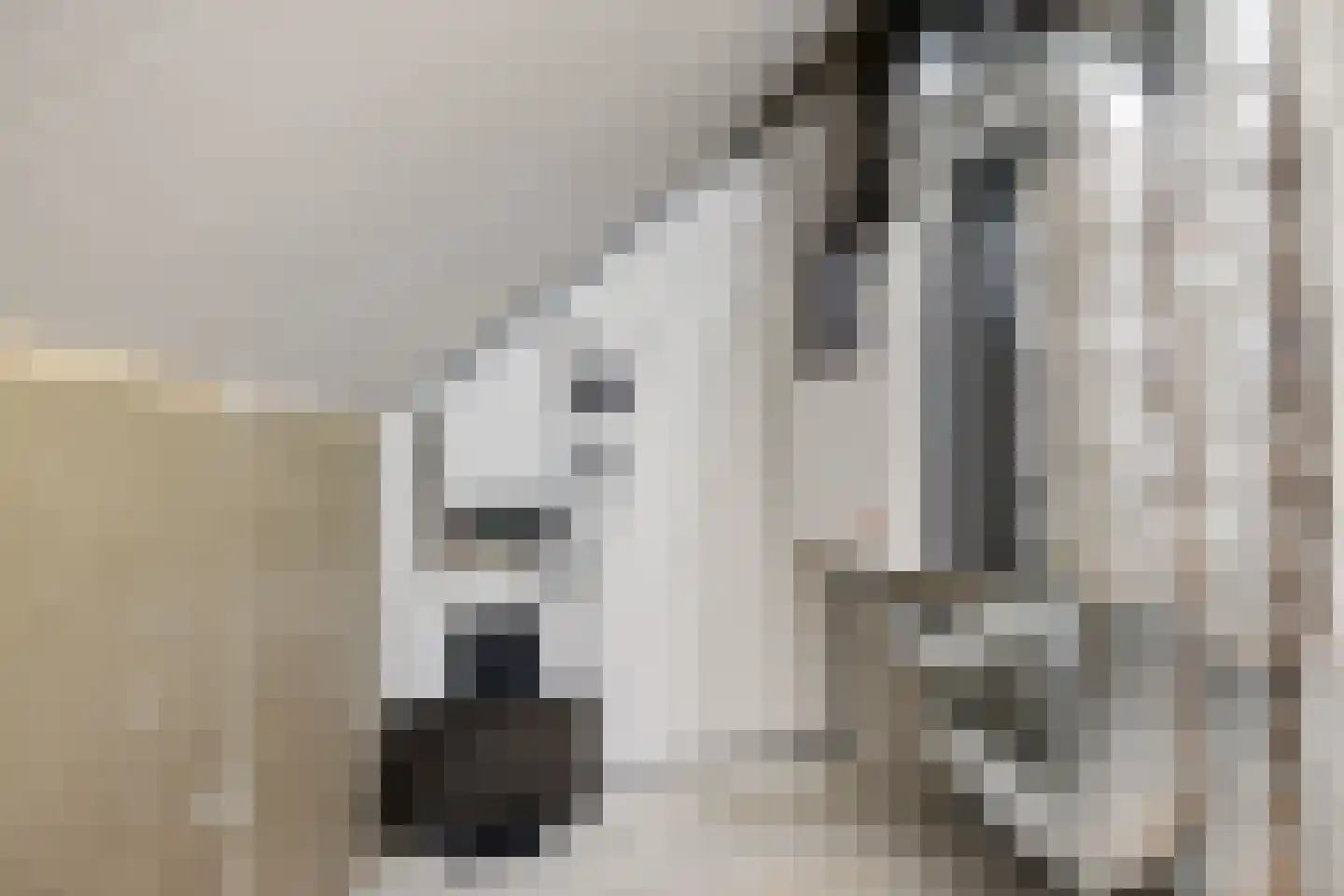 Rietgoornzoom 35 Emmen thumbnail 61
