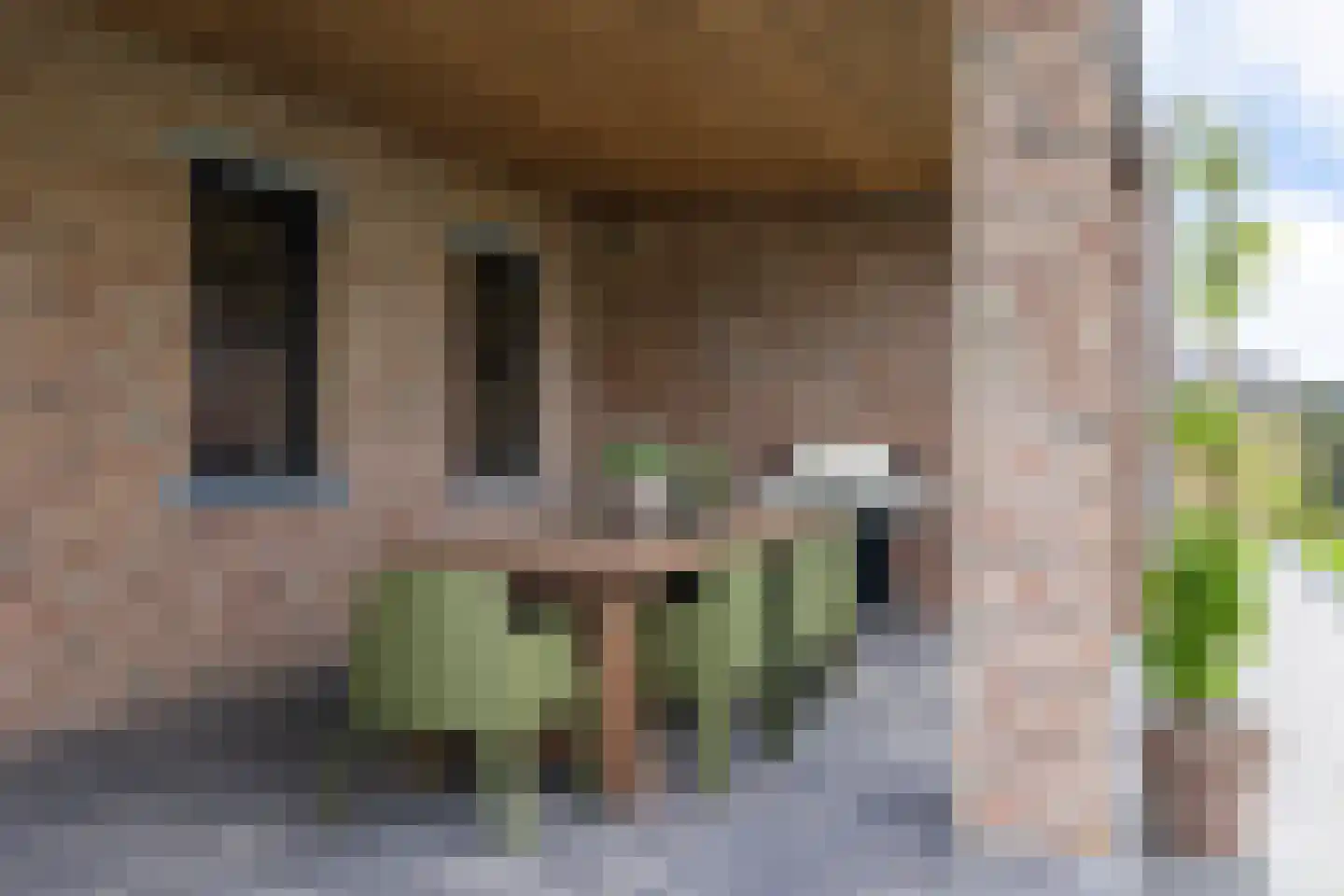 Rietgoornzoom 35 Emmen thumbnail 65