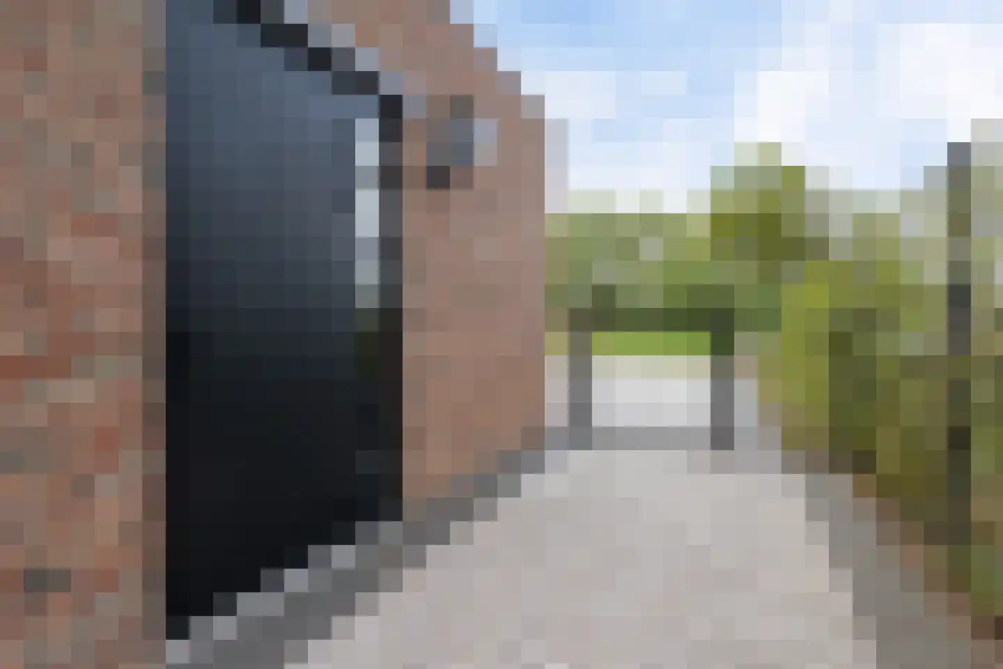 Rietgoornzoom 35 Emmen thumbnail 67