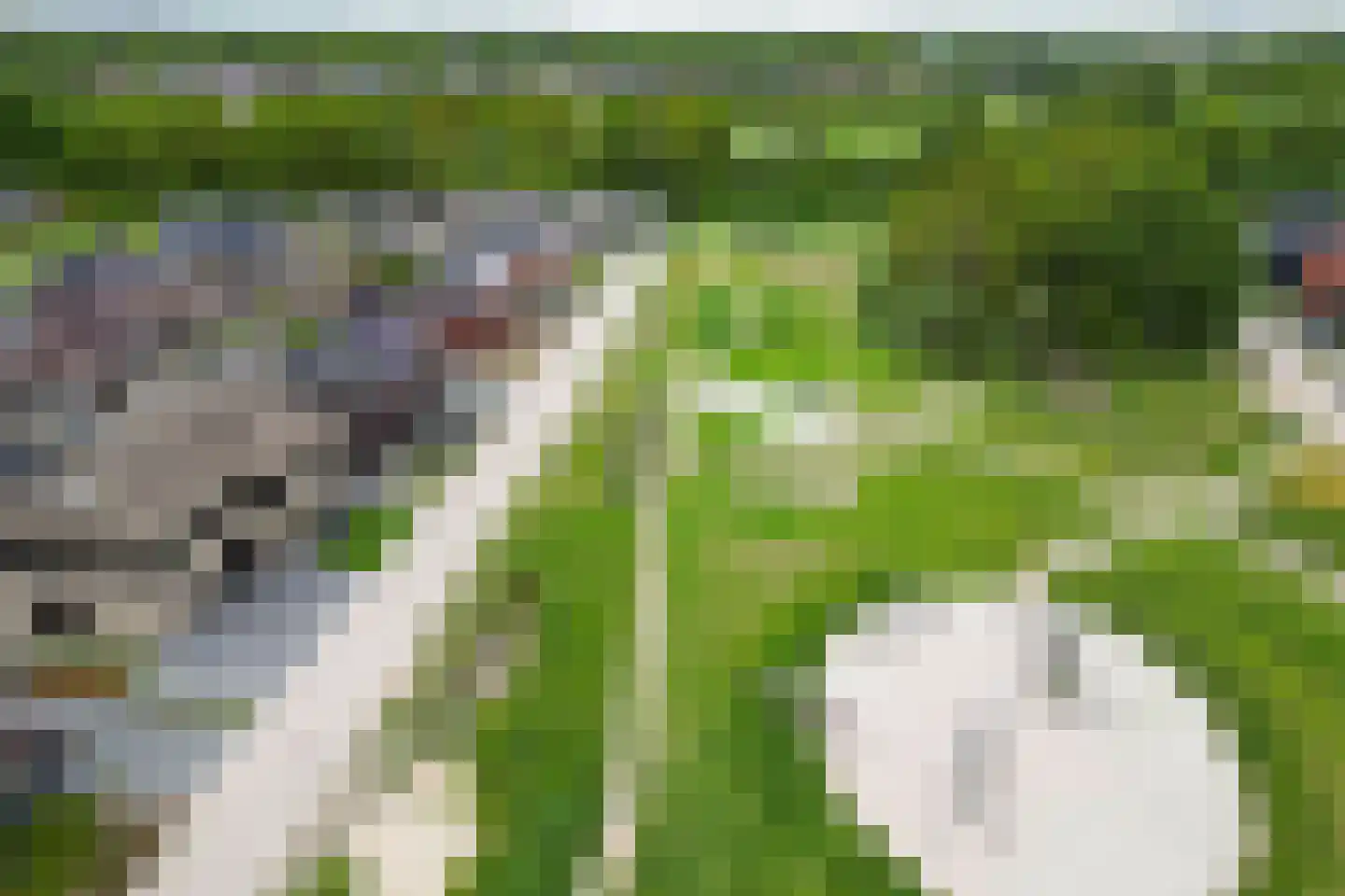 Rietgoornzoom 35 Emmen thumbnail 71
