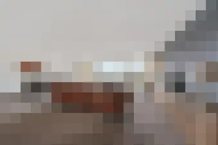 Rietgors 1 08 Wildervank thumbnail 11