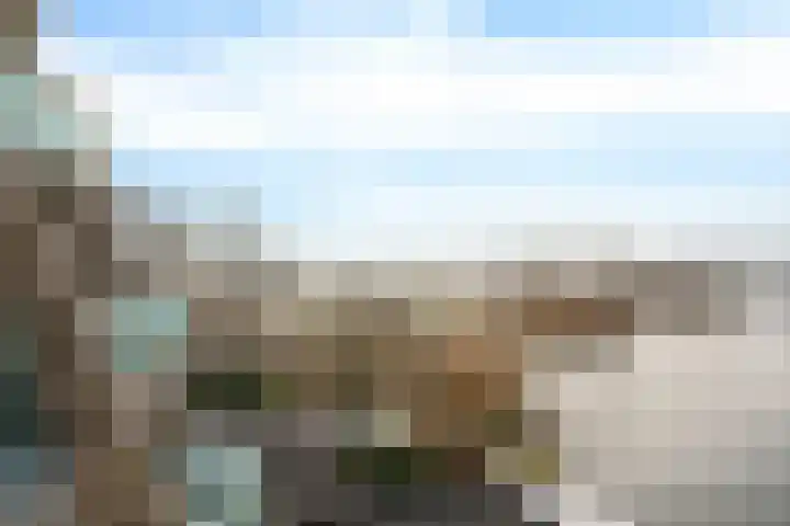 Rietgors 1 08 Wildervank thumbnail 14