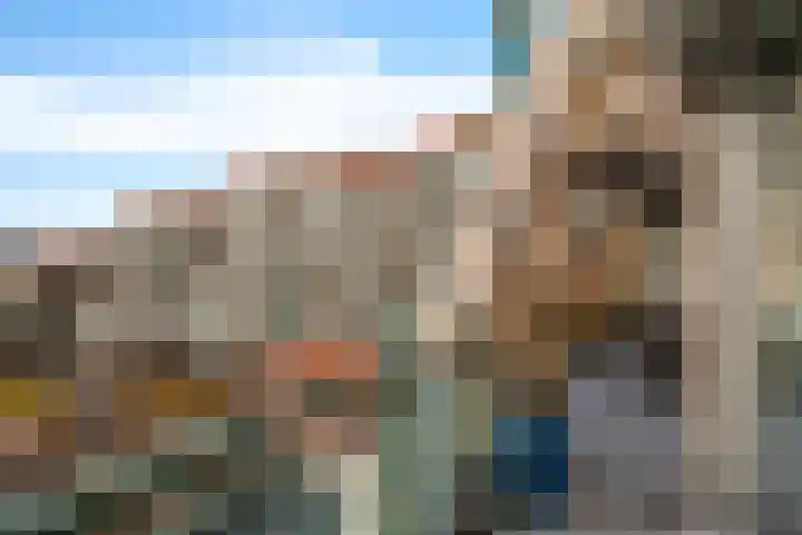 Rietgors 1 08 Wildervank thumbnail 15