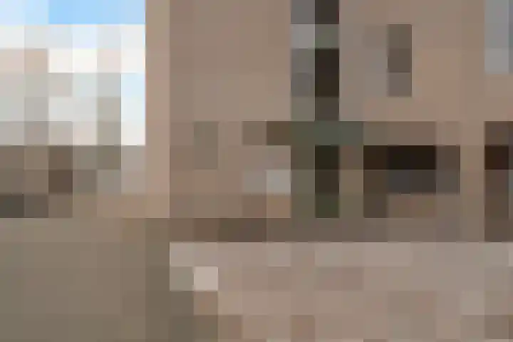 Rietgors 1 08 Wildervank thumbnail 34