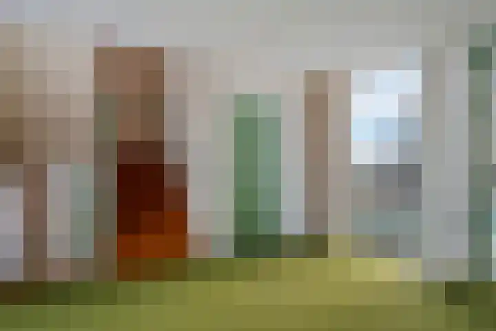 Rietgors 1 08 Wildervank thumbnail 36