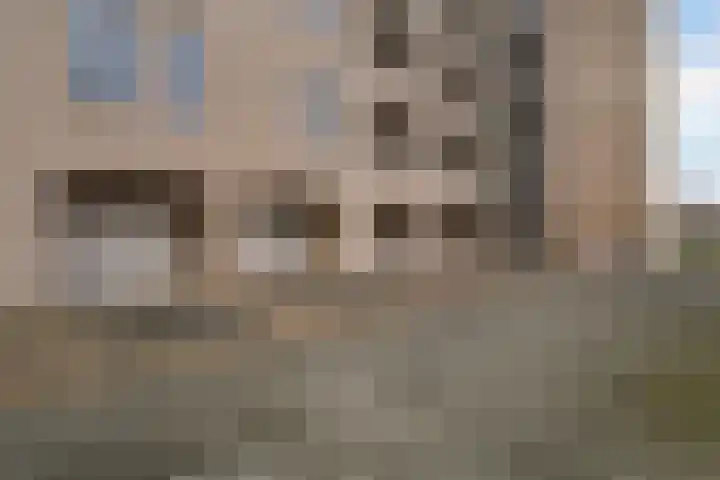 Rietgors 1 08 Wildervank thumbnail 37