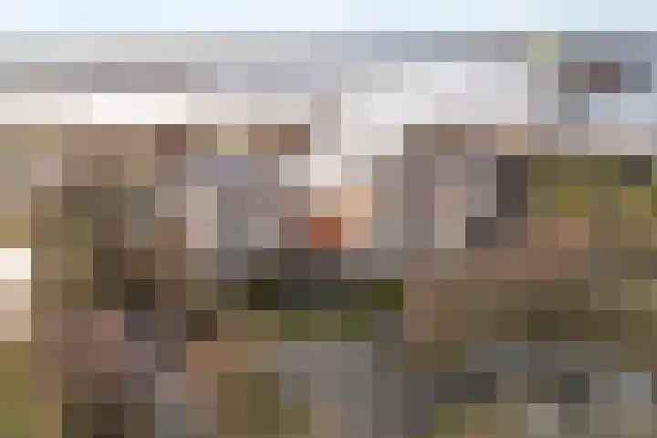 Rietgors 1 08 Wildervank thumbnail 4