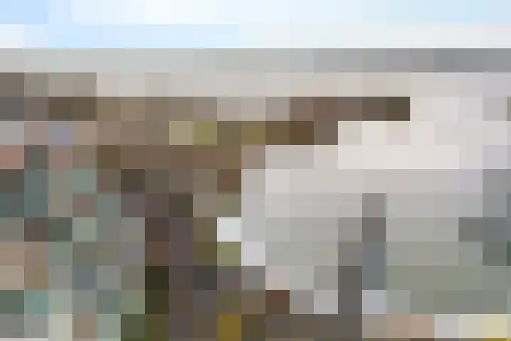 Rietgors 1 08 Wildervank thumbnail 42