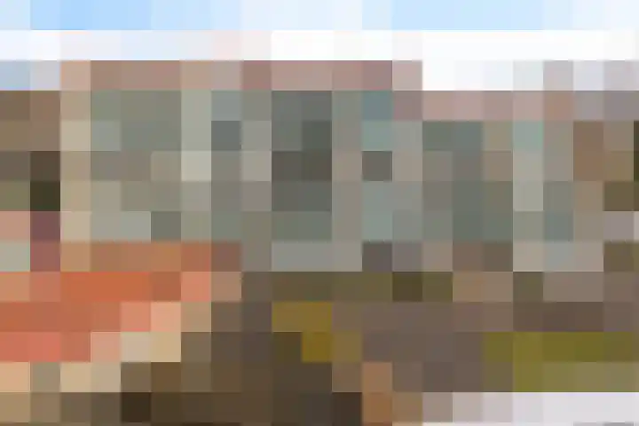 Rietgors 1 08 Wildervank thumbnail 43