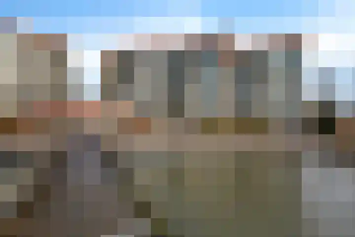 Rietgors 1 08 Wildervank thumbnail 44
