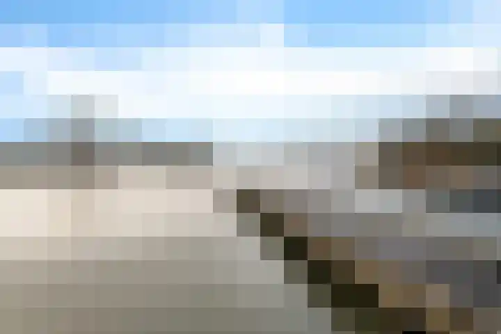 Rietgors 1 08 Wildervank thumbnail 45