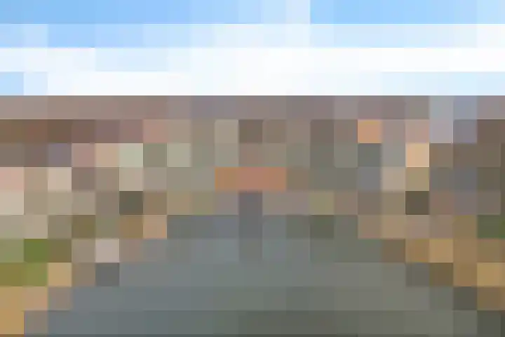 Rietgors 1 08 Wildervank thumbnail 46