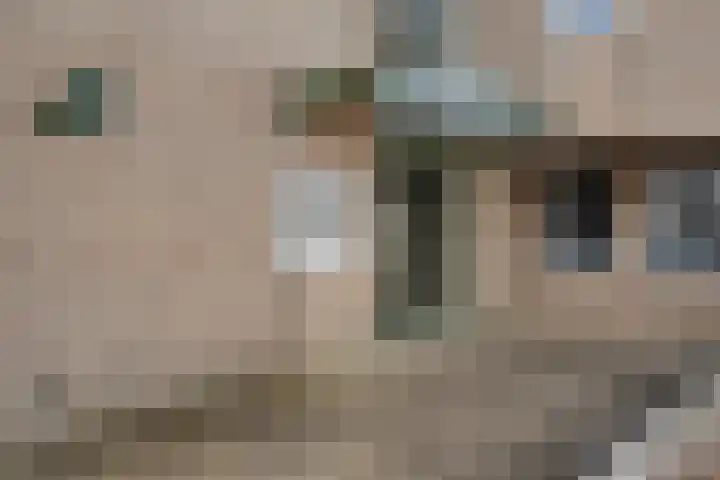 Rietgors 1 08 Wildervank thumbnail 6