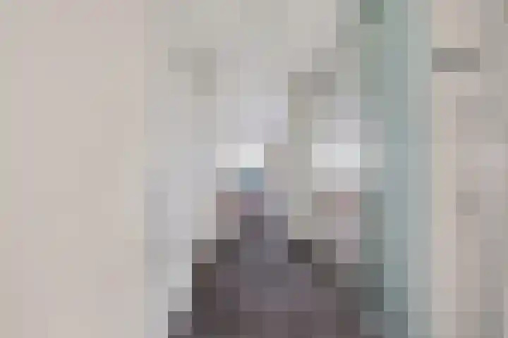 Rietgors 1 08 Wildervank thumbnail 9