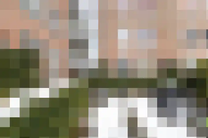 Rietgors 1 32 Nieuwegein thumbnail 19