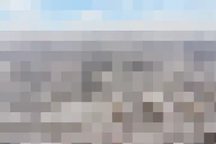Rietgors 1 32 Nieuwegein thumbnail 22