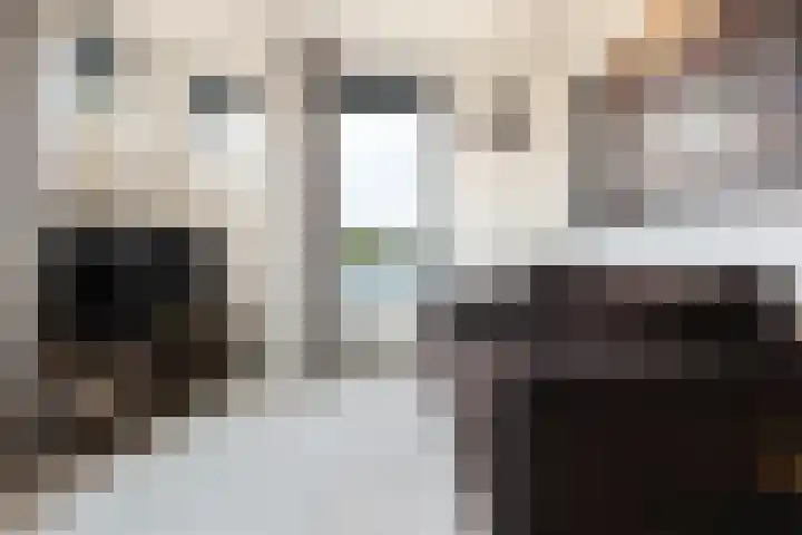 Rietgors 1 34 Nieuwegein thumbnail 13
