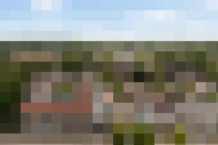 Rietgors 1 34 Nieuwegein thumbnail 25